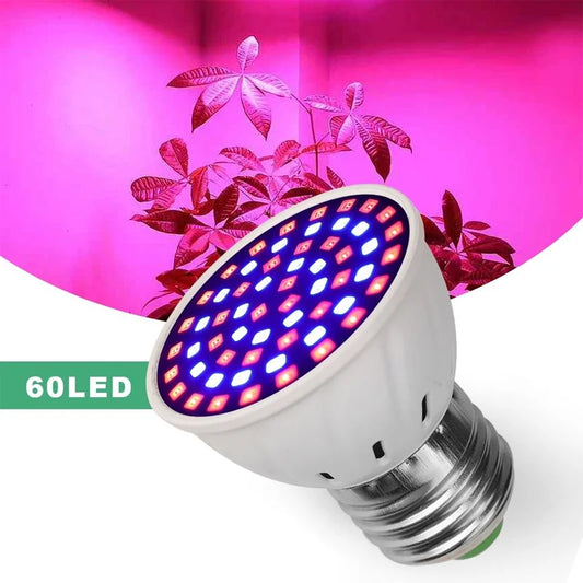 60 LED Full Spectrum Grow Light Plant UV Veg Fruit Lamps Hydroponic Plant Bulbs - Piachoi Store