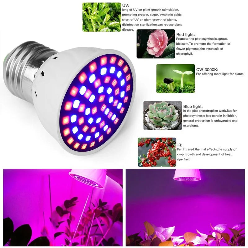 60 LED Full Spectrum Grow Light Plant UV Veg Fruit Lamps Hydroponic Plant Bulbs - Piachoi Store