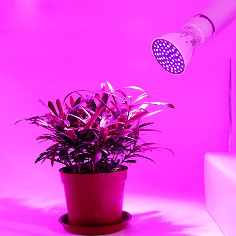 60 LED Full Spectrum Grow Light Plant UV Veg Fruit Lamps Hydroponic Plant Bulbs - Piachoi Store